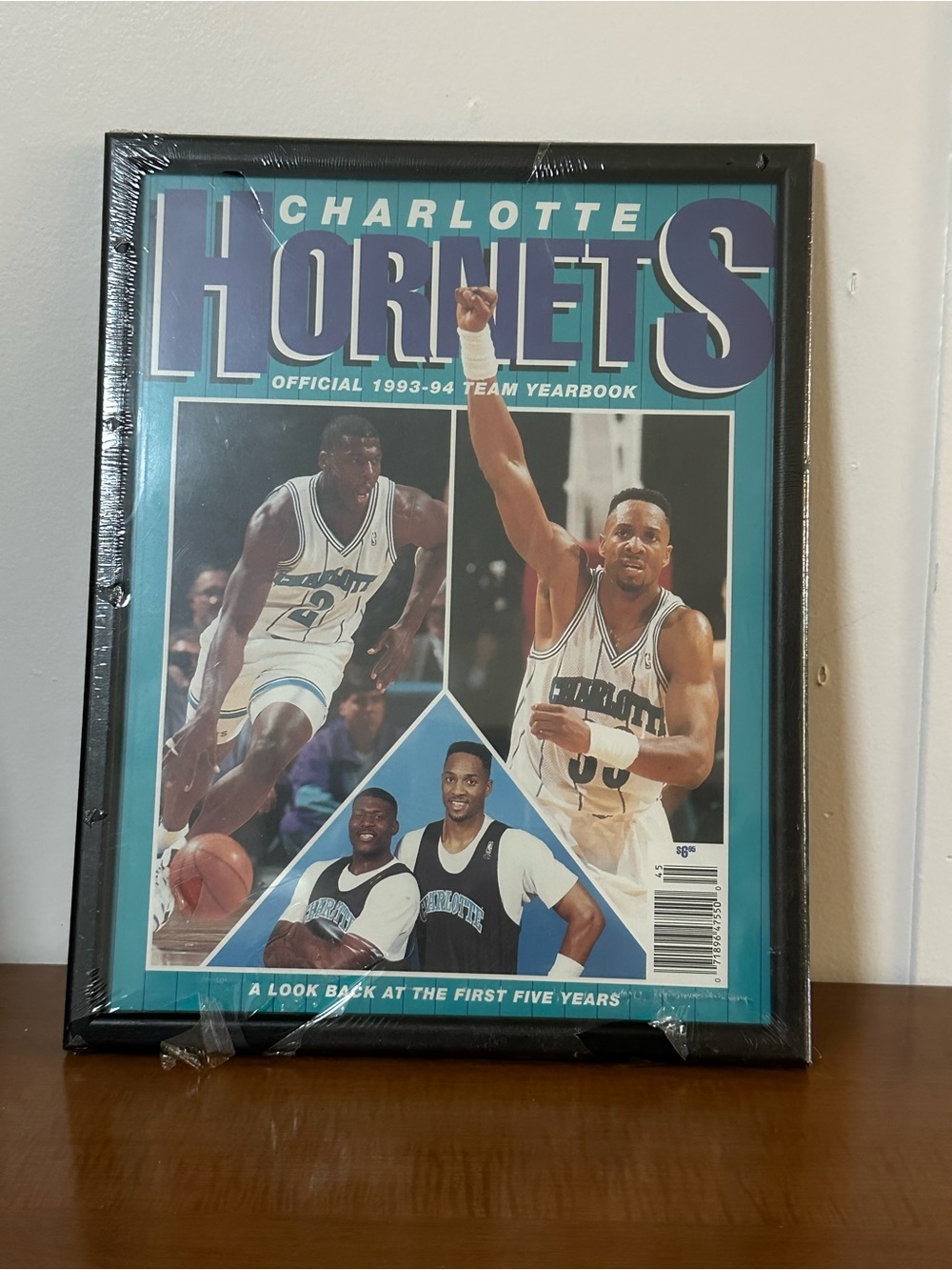 Vintage 1993-94 Charlotte Hornets Team Yearbook - Factory Sealed NOS Framed